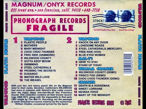 Wildwood. Probing The Secrets 1966-71 US Hard Garage Psych Rock