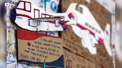 Assessing Malaysia Flight 370 theories