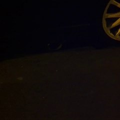 Ibiza echappement latéral !