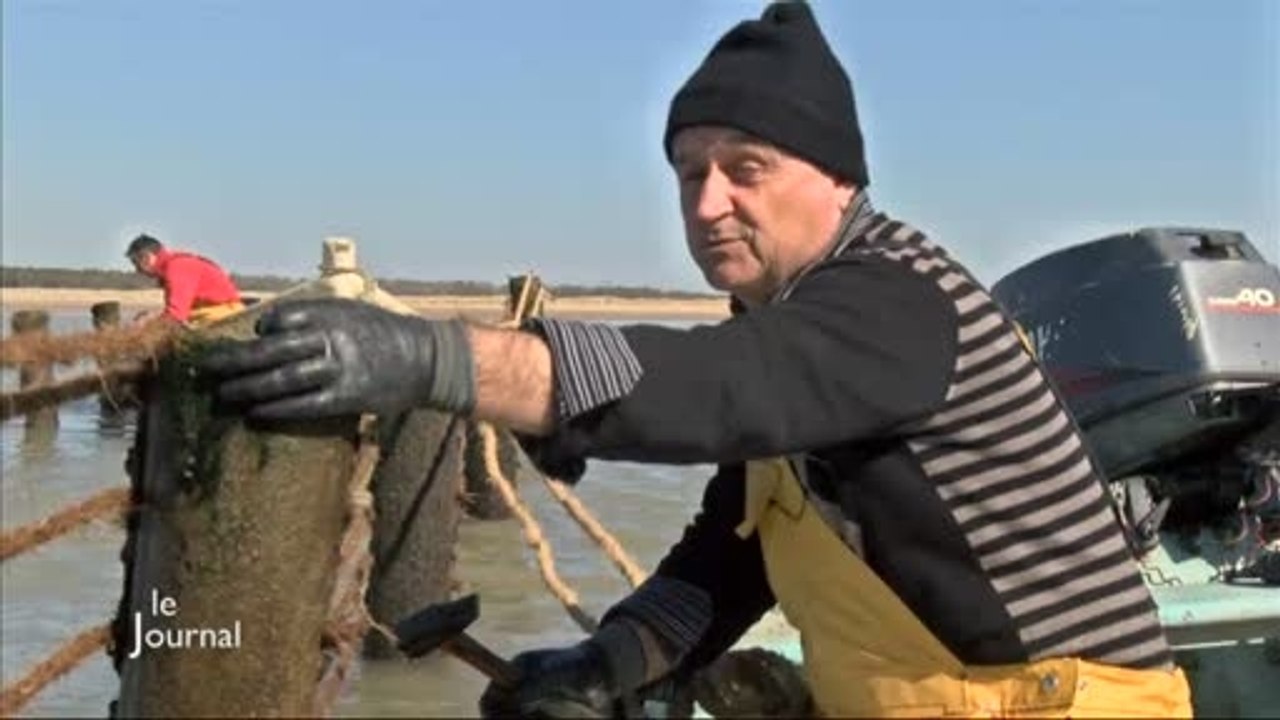 Météo : Les pêcheurs ont repris la mer (L'Aiguillon-sur-Mer)