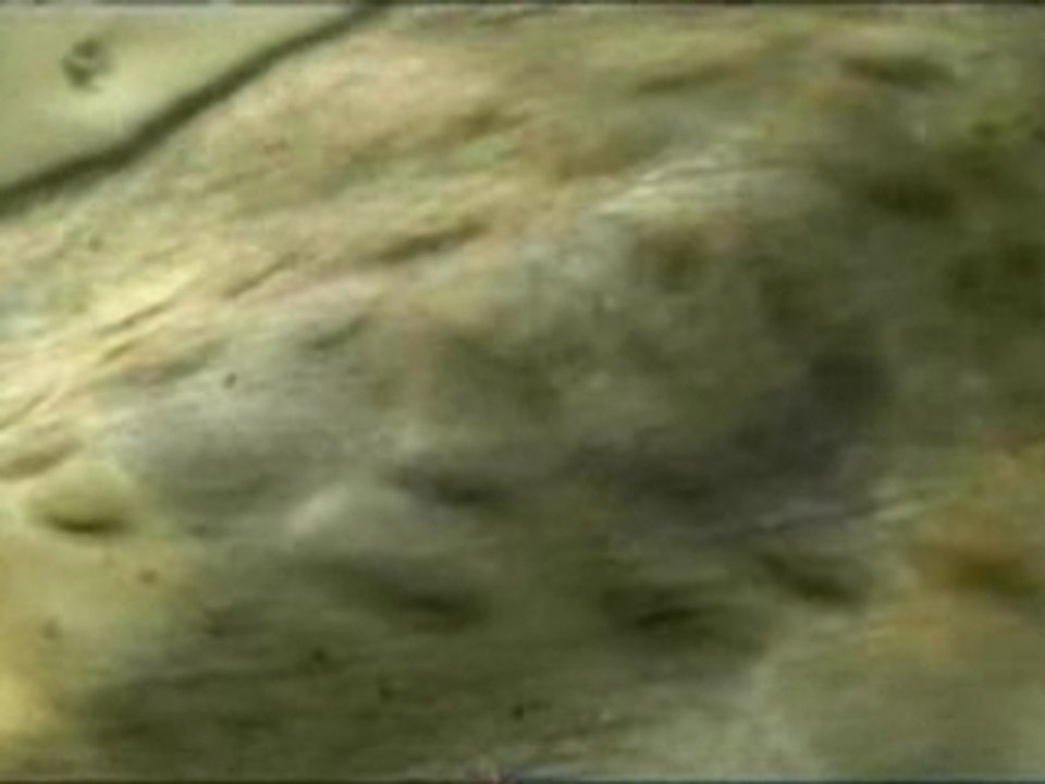 Budweiser - 'aliens' Commercial