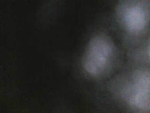 False humility among the false prophets, teachers, etc.