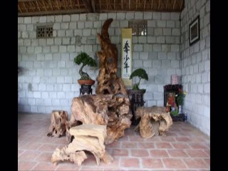 Gỗ lũa nghệ thuật - Gỗ ngọc am
