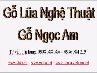 Gỗ Lũa Ngọc Am - 0936 584 219