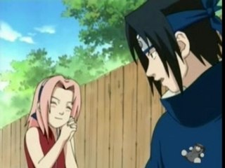 [amv] the ninjas sleeps tonight