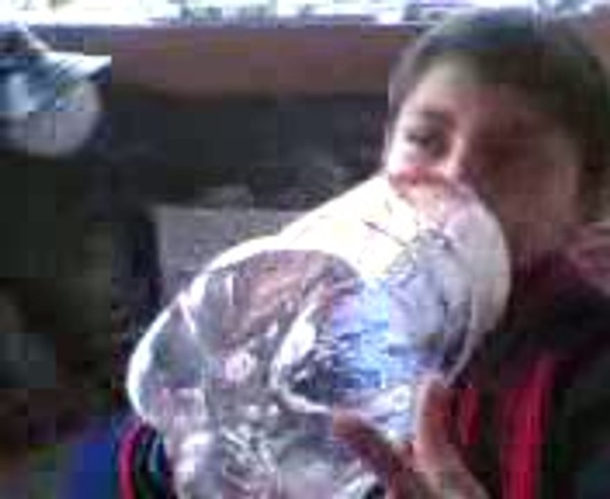 HAYDO 5