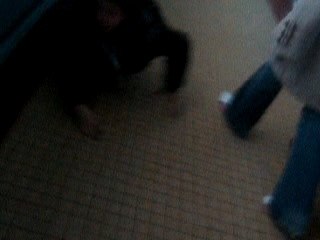 gael gamelle couloir