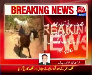 Drought fear in Thatta and sujawal