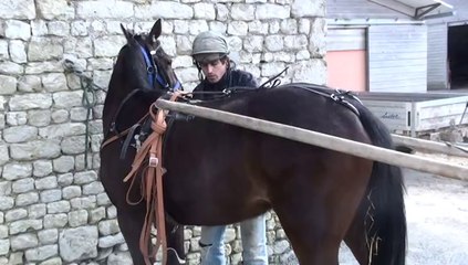 PRESENTATION DE CETTE NOBLESSE