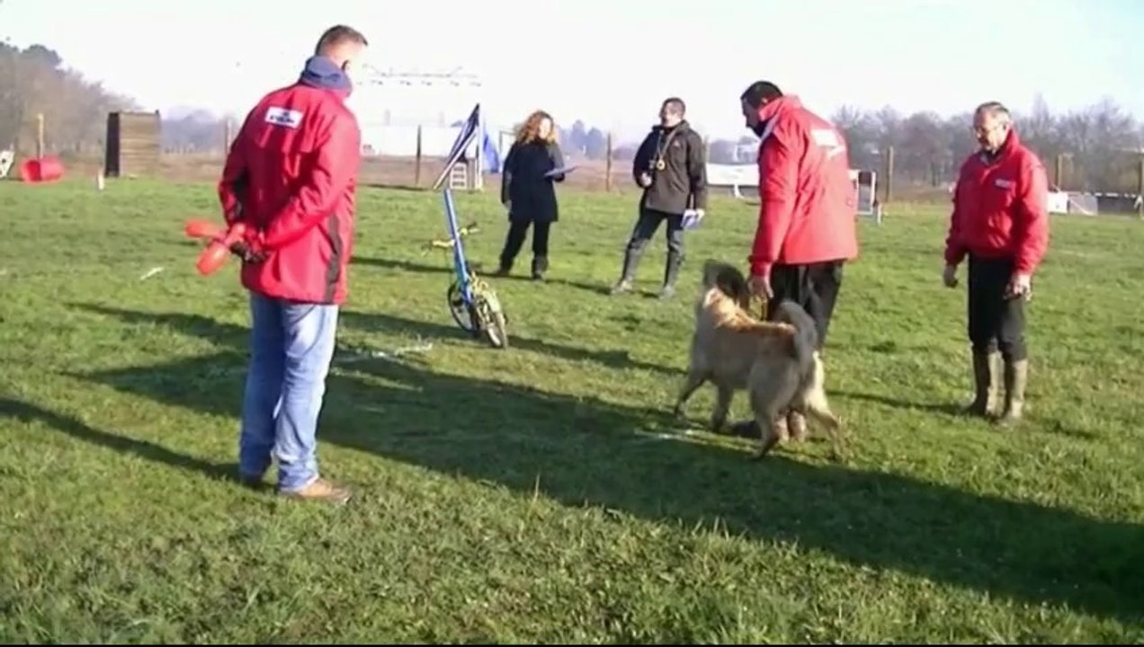 FX Berger Picard, Mondioring 1, Mérignac 2014