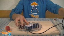 Thermo / warmte mat voor paddo kweekset