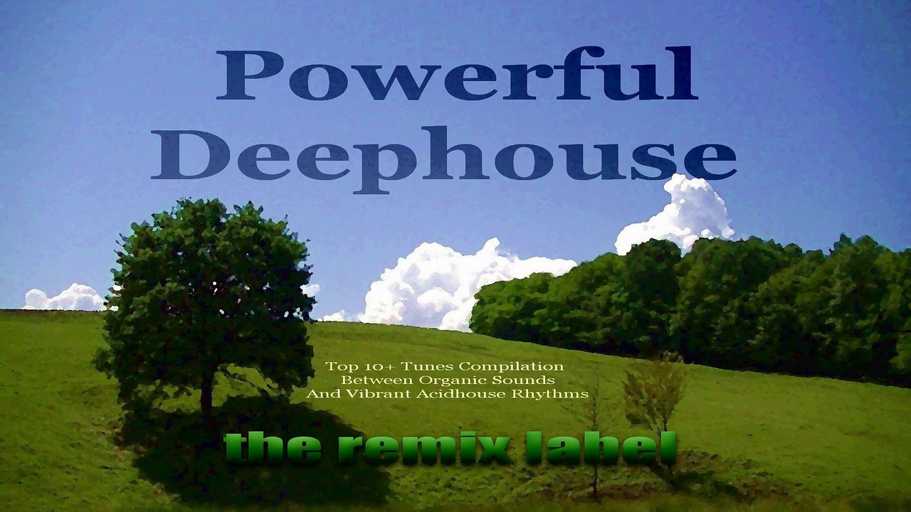 _Various_Artists_-_Powerful_Deephouse (Paduraru_Deeptech_Housemusic_Megamix)