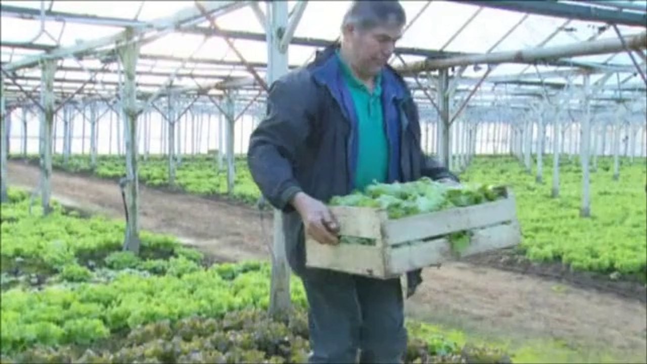 La musique, cette potion magique