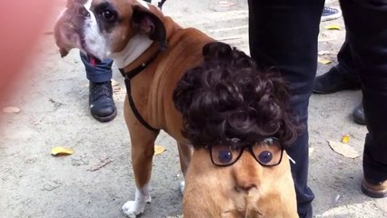 Tompkins Halloween Dog Parade
