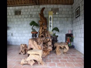 GỖ LŨA NGHỆ THUẬT