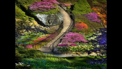 Surah Rehman with urdu translation