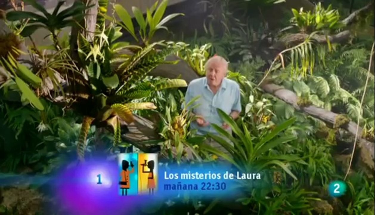 El reino vegetal: 1 La vida en las zonas humedas