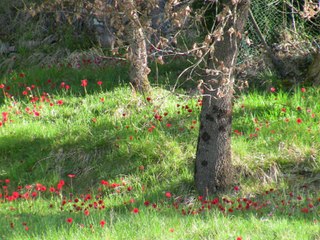 Mars 2014 La Vallée heureuse sur une musique de Benoit Stanek - Billy
