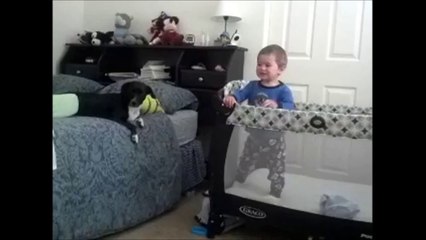 BABY ZEKE REALLY WANTS TO PLAY WITH THE DOG