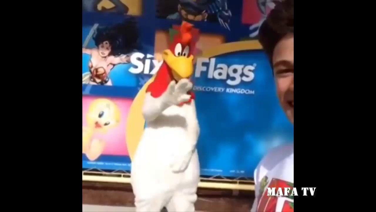 Vine Compilation - March 2014 by MAFA