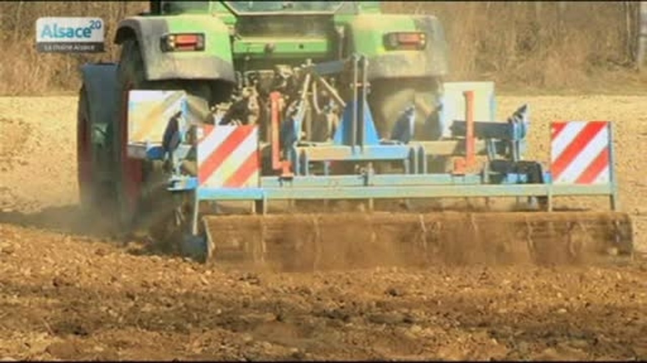 Hebdo DD : Le développement durable en Alsace (19/03/14)