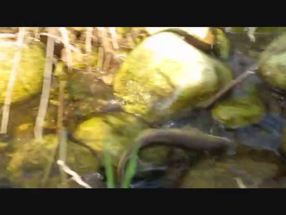 Ouverture 2014 à la Mouche en Ardèche
