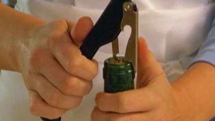 Wine 101 - How to Open a Bottle of Wine