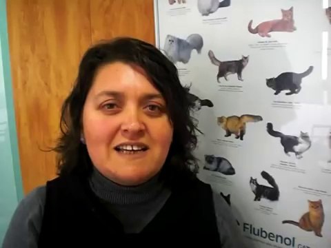 CIM Formación - La profesora del Curso de Auxiliar de Clínica Veterinaria se dirige a sus alumnos