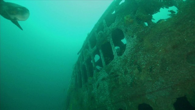 Mémoires de l'Afrique : le Titanic français
