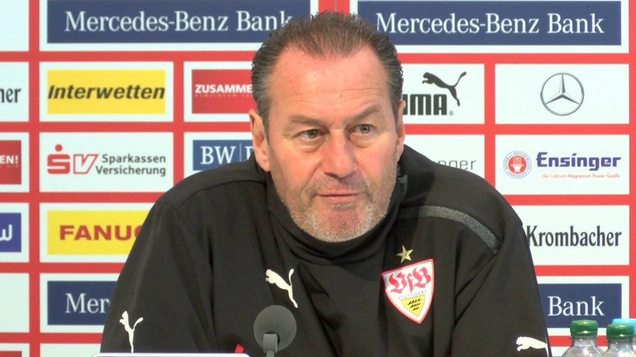 Ibisevic? Stevens: "Was ist das Beste für die erste Elf?"