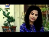 Shehr e Yaran Episode 96 Full - March 20