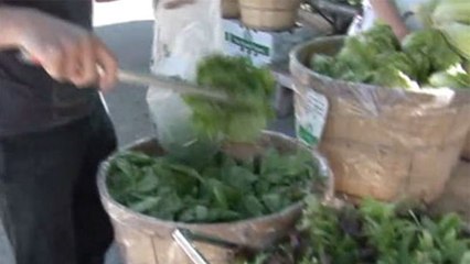 Chef Profiles and Recipes - Daniel Patterson Buys Produce at the Marin Farmers' Market
