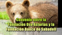 Principado firma convenio con SabadellHerrero para patrocinio de Fundación Oso Asturias