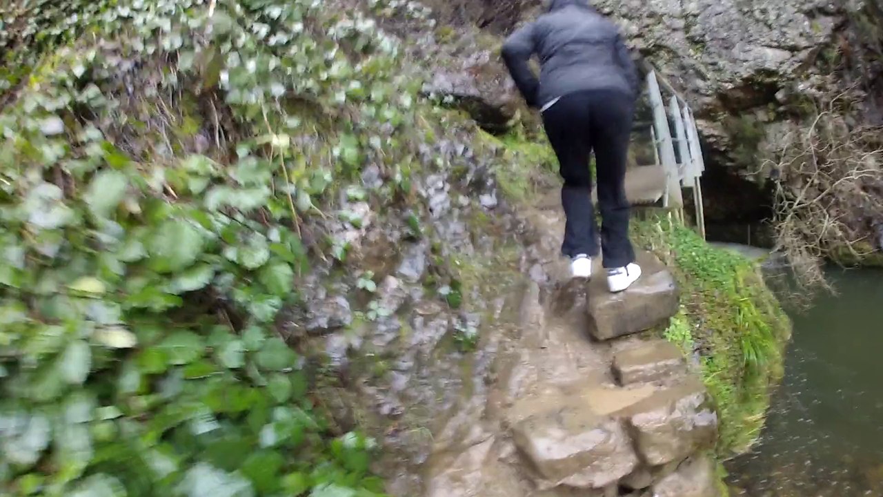 Meli,camino de la ducha