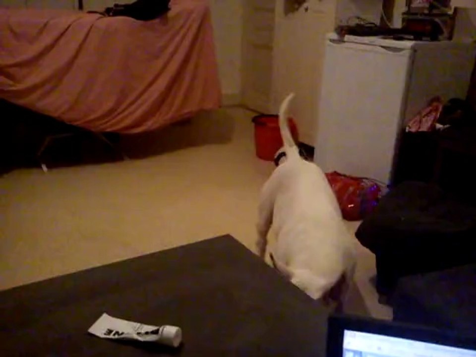 MOV02895