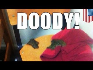 Sorority girl poops on two-timing frat brother's chair