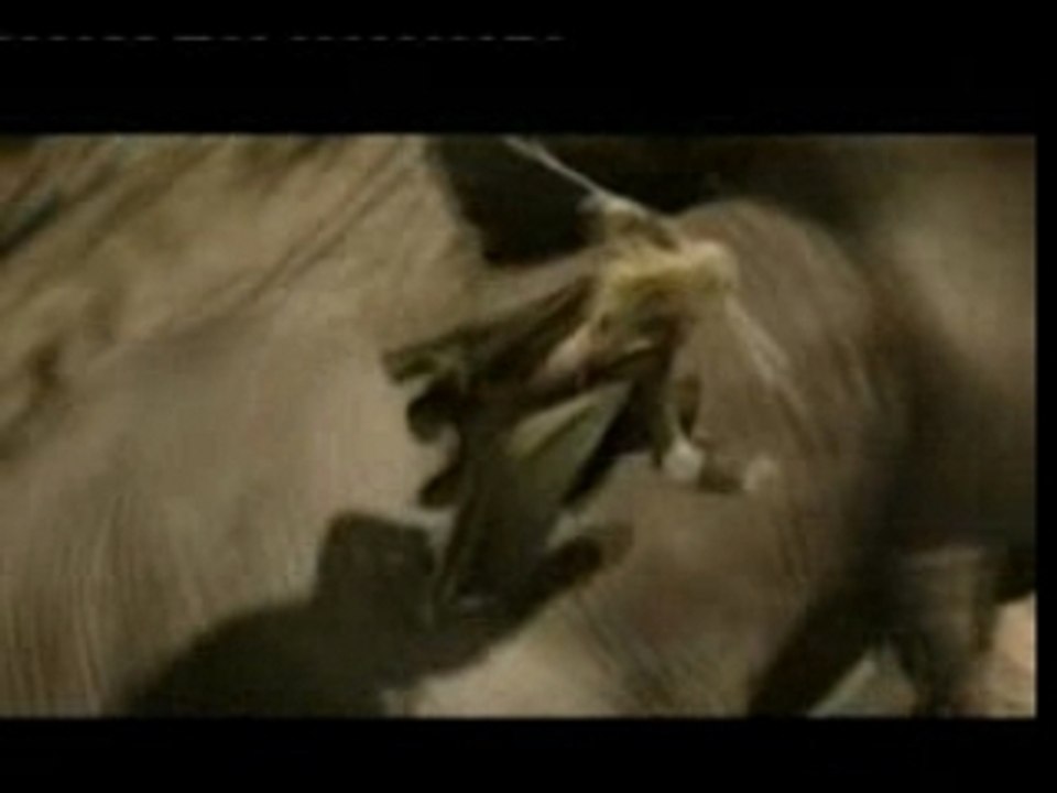 seigneur des anneaux II et III montage