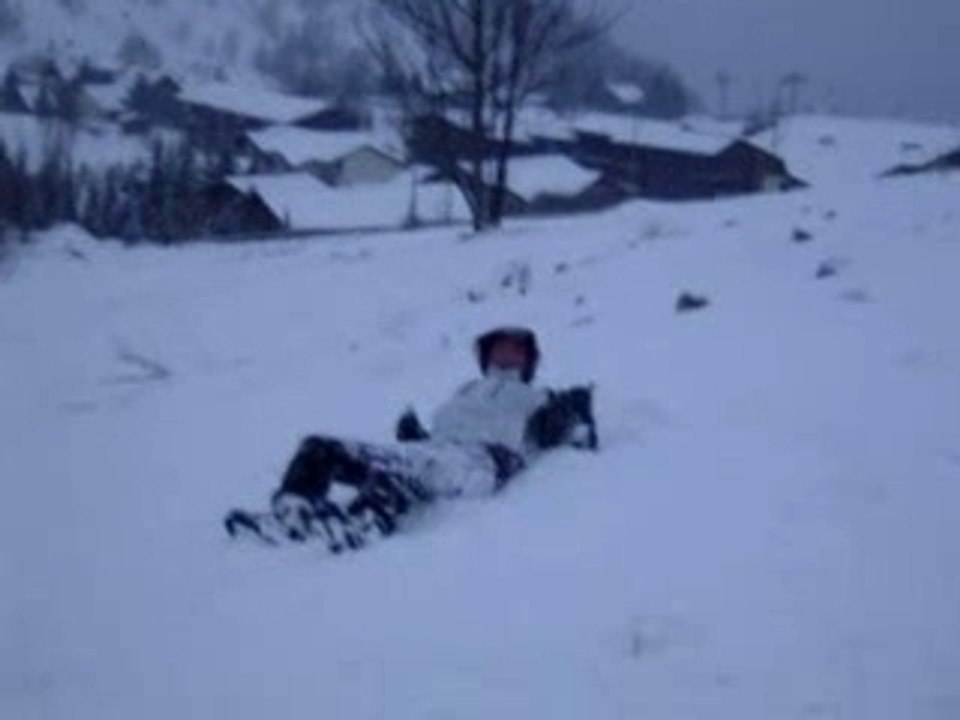 2 ALPES