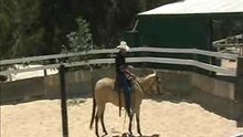 www.horseproblems.com.au - Training