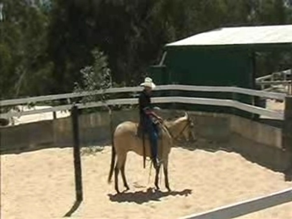 www.horseproblems.com.au - Training