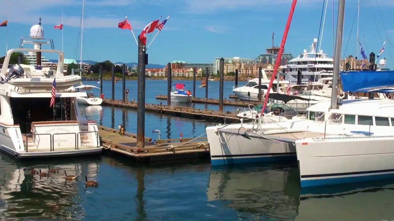South Side of Victoria Harbour.