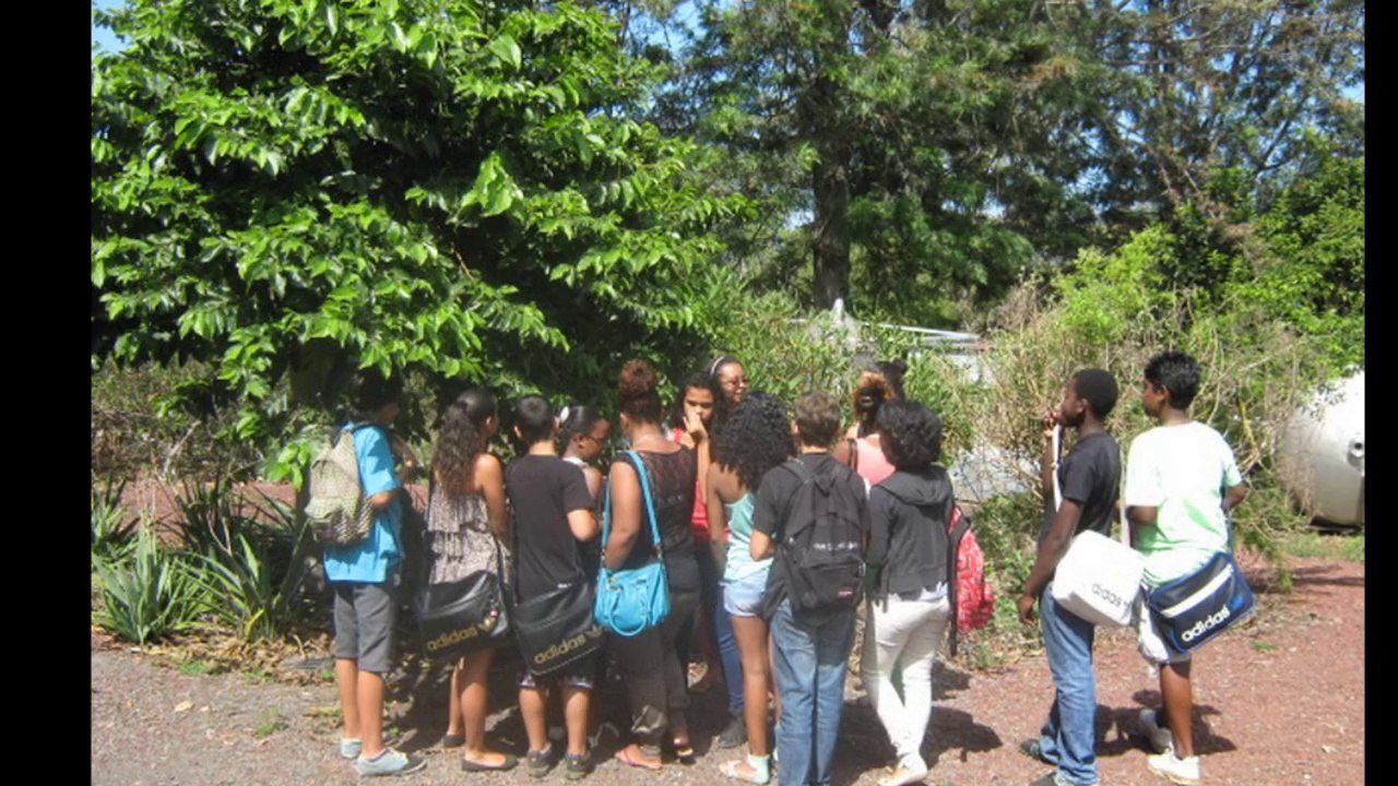 Projet Des parfums dans notre jardin Collège Ligne des Bambous