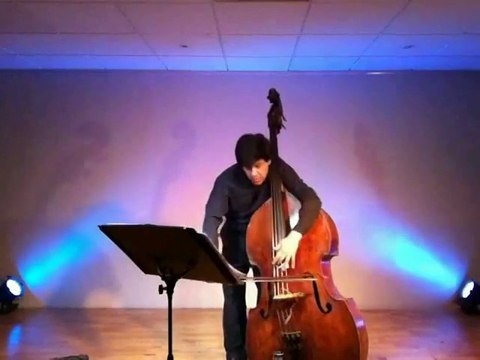 FANTASIA PICTURES EXHIBITION TABLEAUX EXPOSITION (doublebass integral Mauricio ROMERO)