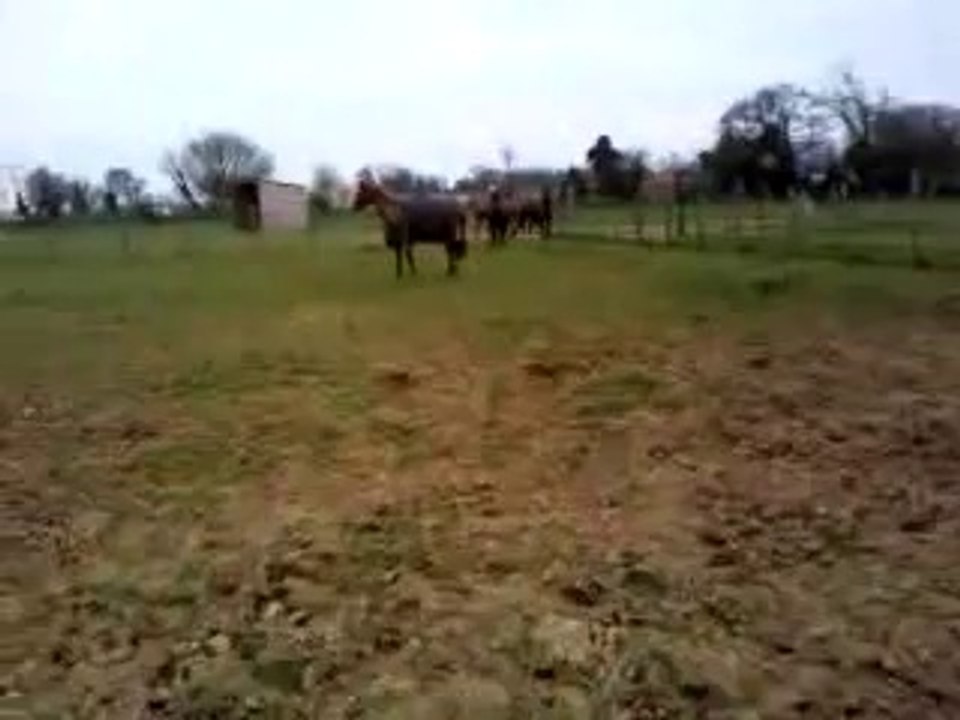 Urasco et Pénélope