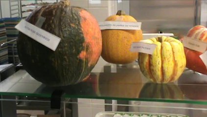 Le bio au collège_par les ULIS de Vitré