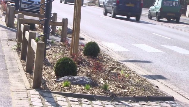 Aménagement paysager à Aulnoy-lez-Valenciennes