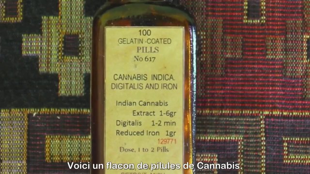 Du cannabis pour soigner le cancer - Cured Too - A Cancer Story (VOST)