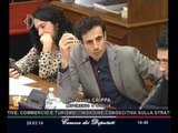 Roma - Audizioni rappresentanti Autorità Garante Concorrenza e Mercato (20.03.14)