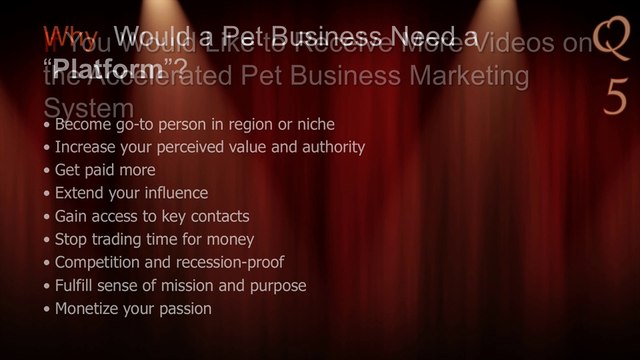 Why Would a Pet Business Need a “Platform”?