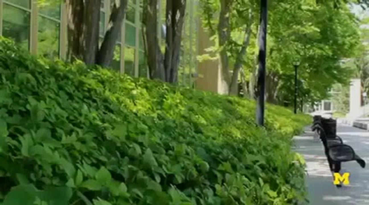 Electric Car Batteries of the Future Car Documentary